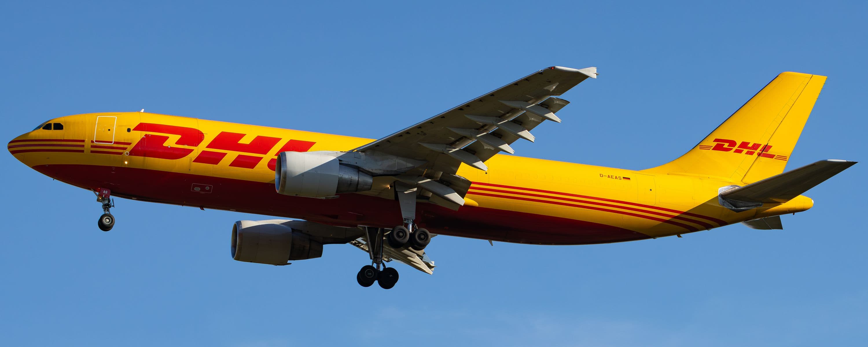User's banner