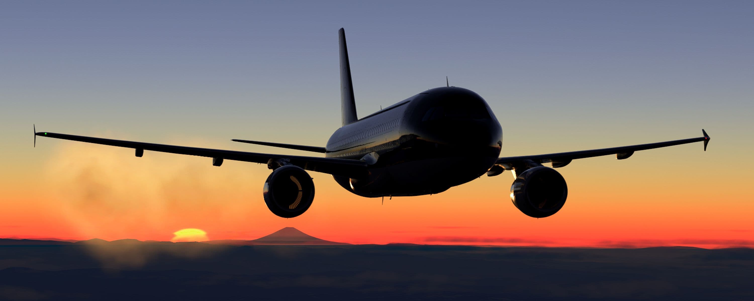 User's banner